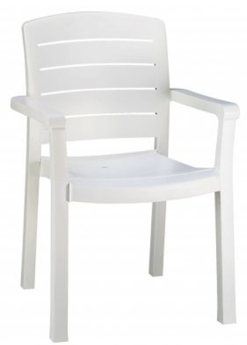 Acadia Arm Dining Chair