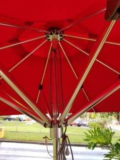 Tucci Umbrella